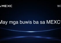 May mga buwis ba sa MEXC? May mga buwis ba sa MEXC?