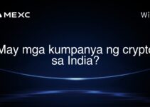 May mga kumpanya ng crypto sa India? May mga kumpanya ng crypto sa India?