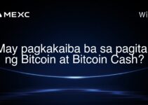 May pagkakaiba ba sa pagitan ng Bitcoin at Bitcoin Cash? May pagkakaiba ba sa pagitan ng Bitcoin at Bitcoin Cash?