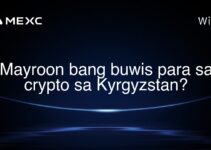Mayroon bang buwis para sa crypto sa Kyrgyzstan? Mayroon bang buwis para sa crypto sa Kyrgyzstan?