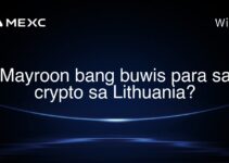 Mayroon bang buwis para sa crypto sa Lithuania? Mayroon bang buwis para sa crypto sa Lithuania?