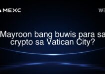 Mayroon bang buwis para sa crypto sa Vatican City? Mayroon bang buwis para sa crypto sa Vatican City?