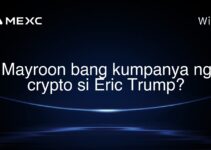 Mayroon bang kumpanya ng crypto si Eric Trump? Mayroon bang kumpanya ng crypto si Eric Trump?