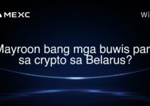 Mayroon bang mga buwis para sa crypto sa Belarus? Mayroon bang mga buwis para sa crypto sa Belarus?