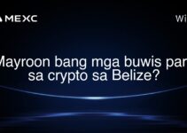 Mayroon bang mga buwis para sa crypto sa Belize? Mayroon bang mga buwis para sa crypto sa Belize?