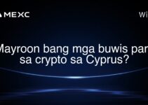Mayroon bang mga buwis para sa crypto sa Cyprus? Mayroon bang mga buwis para sa crypto sa Cyprus?