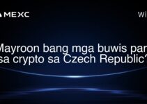 Mayroon bang mga buwis para sa crypto sa Czech Republic? Mayroon bang mga buwis para sa crypto sa Czech Republic?