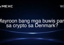 Mayroon bang mga buwis para sa crypto sa Denmark? Mayroon bang mga buwis para sa crypto sa Denmark?