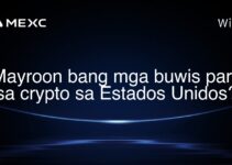 Mayroon bang mga buwis para sa crypto sa Estados Unidos? Mayroon bang mga buwis para sa crypto sa Estados Unidos?