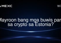 Mayroon bang mga buwis para sa crypto sa Estonia? Mayroon bang mga buwis para sa crypto sa Estonia?