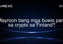 Mayroon bang mga buwis para sa crypto sa Finland? Mayroon bang mga buwis para sa crypto sa Finland?