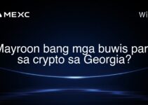 Mayroon bang mga buwis para sa crypto sa Georgia? Mayroon bang mga buwis para sa crypto sa Georgia?