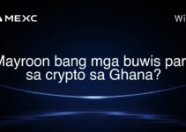 Mayroon bang mga buwis para sa crypto sa Ghana? Mayroon bang mga buwis para sa crypto sa Ghana?