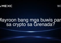 Mayroon bang mga buwis para sa crypto sa Grenada? Mayroon bang mga buwis para sa crypto sa Grenada?