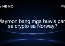 Mayroon bang mga buwis para sa crypto sa Norway? Mayroon bang mga buwis para sa crypto sa Norway?