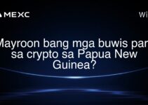 Mayroon bang mga buwis para sa crypto sa Papua New Guinea? Mayroon bang mga buwis para sa crypto sa Papua New Guinea?