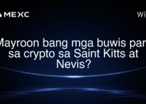 Mayroon bang mga buwis para sa crypto sa Saint Kitts at Nevis? Mayroon bang mga buwis para sa crypto sa Saint Kitts at Nevis?