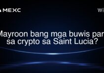 Mayroon bang mga buwis para sa crypto sa Saint Lucia? Mayroon bang mga buwis para sa crypto sa Saint Lucia?