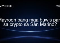 Mayroon bang mga buwis para sa crypto sa San Marino? Mayroon bang mga buwis para sa crypto sa San Marino?