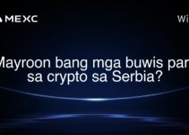 Mayroon bang mga buwis para sa crypto sa Serbia? Mayroon bang mga buwis para sa crypto sa Serbia?