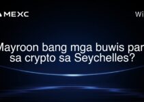 Mayroon bang mga buwis para sa crypto sa Seychelles? Mayroon bang mga buwis para sa crypto sa Seychelles?