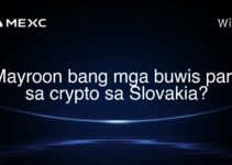 Mayroon bang mga buwis para sa crypto sa Slovakia? Mayroon bang mga buwis para sa crypto sa Slovakia?