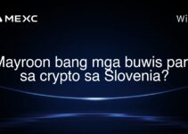 Mayroon bang mga buwis para sa crypto sa Slovenia? Mayroon bang mga buwis para sa crypto sa Slovenia?