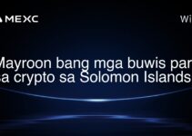 Mayroon bang mga buwis para sa crypto sa Solomon Islands? Mayroon bang mga buwis para sa crypto sa Solomon Islands?