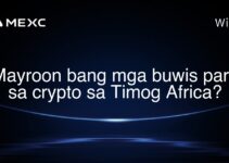Mayroon bang mga buwis para sa crypto sa Timog Africa? Mayroon bang mga buwis para sa crypto sa Timog Africa?