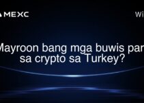 Mayroon bang mga buwis para sa crypto sa Turkey? Mayroon bang mga buwis para sa crypto sa Turkey?