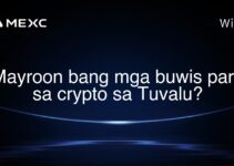 Mayroon bang mga buwis para sa crypto sa Tuvalu? Mayroon bang mga buwis para sa crypto sa Tuvalu?