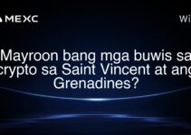 Mayroon bang mga buwis sa crypto sa Saint Vincent at ang Grenadines? Mayroon bang mga buwis sa crypto sa Saint Vincent at ang Grenadines?