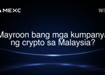 Mayroon bang mga kumpanya ng crypto sa Malaysia? Mayroon bang mga kumpanya ng crypto sa Malaysia?