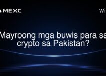 Mayroong mga buwis para sa crypto sa Pakistan? Mayroong mga buwis para sa crypto sa Pakistan?