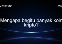 Mengapa begitu banyak koin kripto? Mengapa begitu banyak koin kripto?
