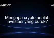 Mengapa crypto adalah investasi yang buruk? Mengapa crypto adalah investasi yang buruk?