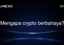 Mengapa crypto berbahaya? Mengapa crypto berbahaya?
