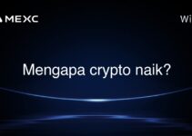 Mengapa crypto naik? Mengapa crypto naik?