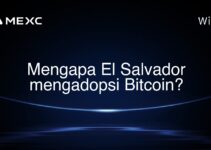 Mengapa El Salvador mengadopsi Bitcoin? Mengapa El Salvador mengadopsi Bitcoin?