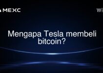 Mengapa Tesla membeli bitcoin? Mengapa Tesla membeli bitcoin?