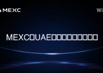 MEXCはUAEで利用可能ですか? MEXCはUAEで利用可能ですか?