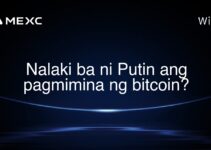 Nalaki ba ni Putin ang pagmimina ng bitcoin? Nalaki ba ni Putin ang pagmimina ng bitcoin?