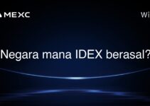Negara mana IDEX berasal? Negara mana IDEX berasal?