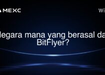 Negara mana yang berasal dari BitFlyer? Negara mana yang berasal dari BitFlyer?