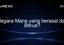 Negara Mana yang berasal dari Bitrue? Negara Mana yang berasal dari Bitrue?