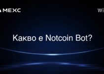 什麼是 Notcoin Bot? 什麼是 Notcoin Bot?