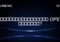 OPEC国家的加密货币是否合法? OPEC国家的加密货币是否合法?