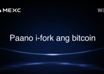 Paano i-fork ang bitcoin Paano i-fork ang bitcoin