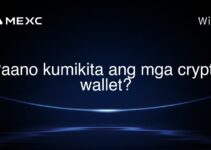 Paano kumikita ang mga crypto wallet? Paano kumikita ang mga crypto wallet?