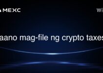Paano mag-file ng crypto taxes? Paano mag-file ng crypto taxes?
